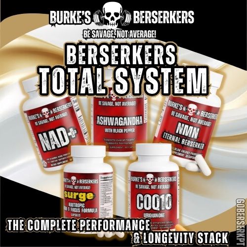 BERSERKERS TOTAL SYSTEM