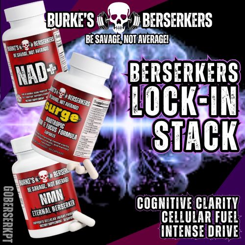 BERSERKERS LOCK-IN STACK